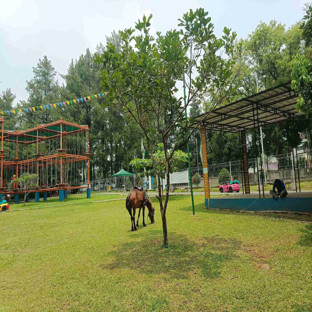 Rivera Outbound & Edutainment - 7