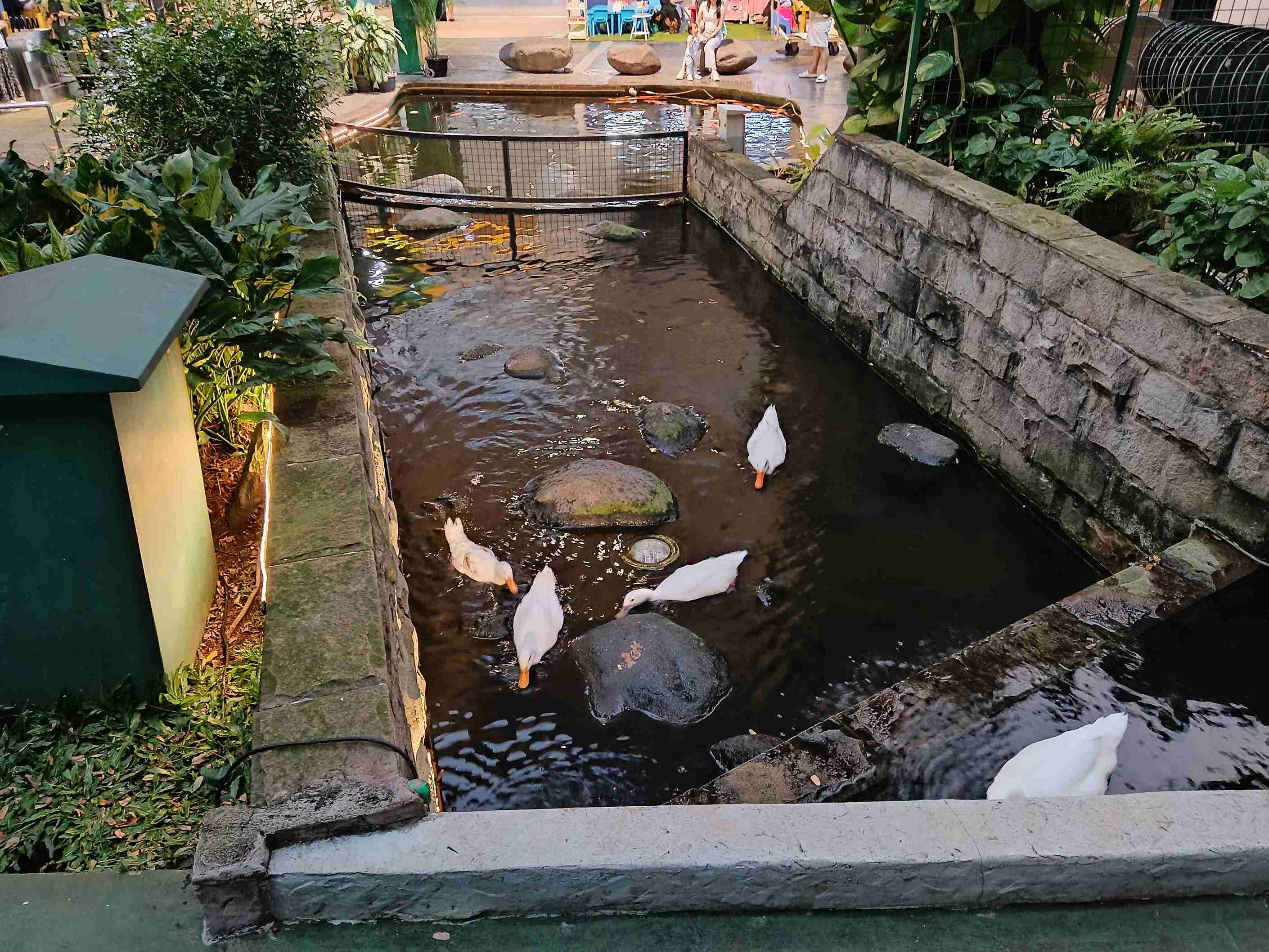 Scientia Square Park - 5